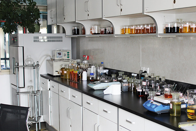 Laboratory Panorama